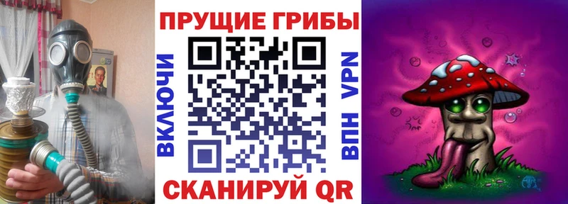 купить закладку  Великий Новгород  Псилоцибиновые грибы мицелий 